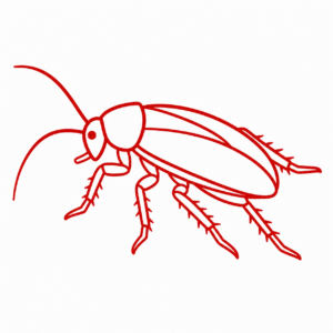 Cockroaches