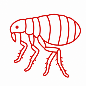 Flea Tick