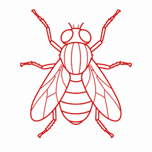 Fly Control