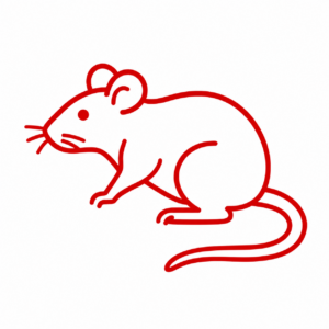 Rodents