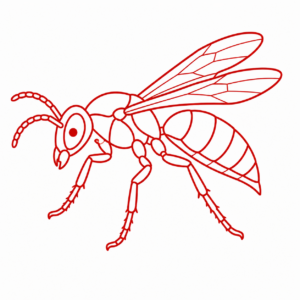 Wasps
