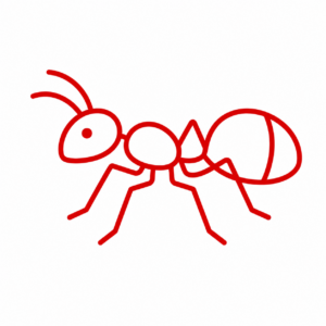 ant