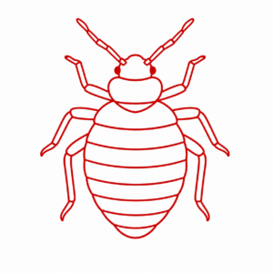 bed bugs
