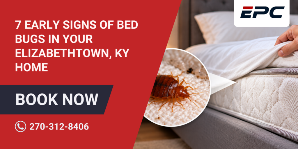 Early Signs of Bed Bugs