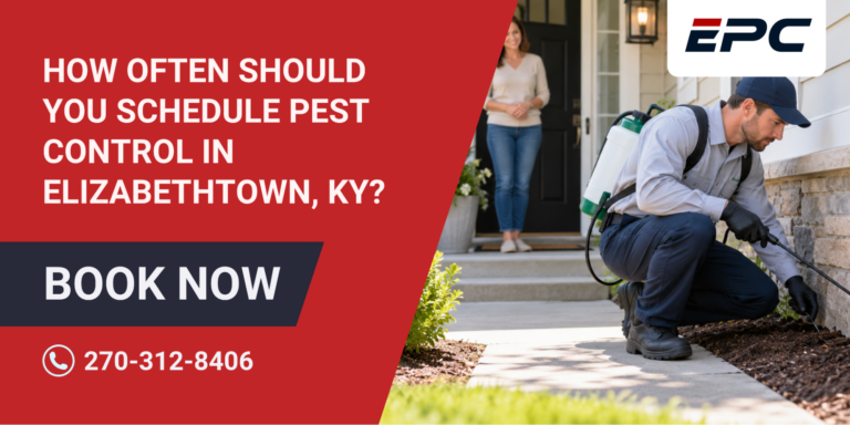 How Often Should You Schedule Pest Control in Elizabethtown, KY?